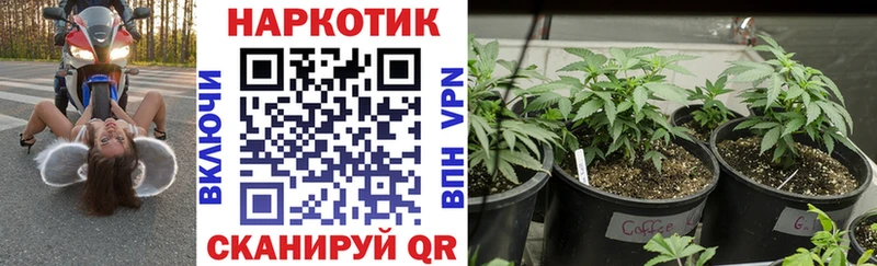 Купить наркотики сайты Хадыженск Канабис  СОЛЬ  Метамфетамин  Меф  Гашиш  Псилоцибиновые грибы 